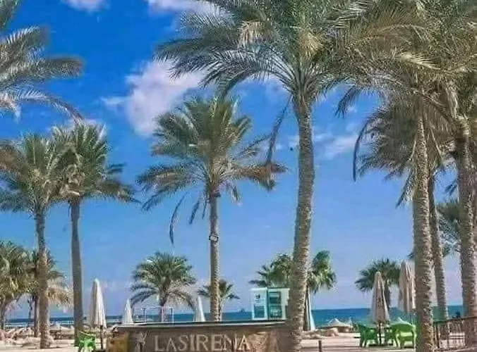 رجاء الاستفسار عبر الواتس في الصور, قرية لاسرينا ميني ايجبت بالعين السخنة للأسر فقط, دور ارضي وسط بجاردن كبيرة على البول, غرفتين وصالة وحمامين, شاطئ رملي, محلات ومطاعم وكافيهات, اكوا بارك بمصاريف, الموقع لا يتيح الرد على استفسارات الحجز, واتس ف Apartment